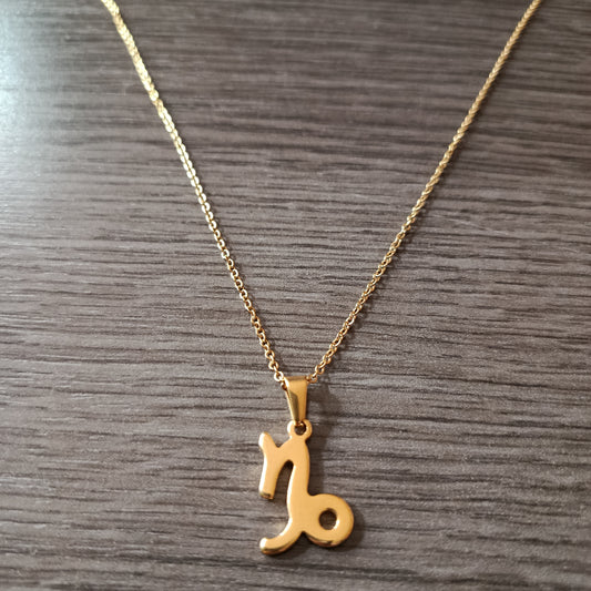 Collar acero dorado Capricornio