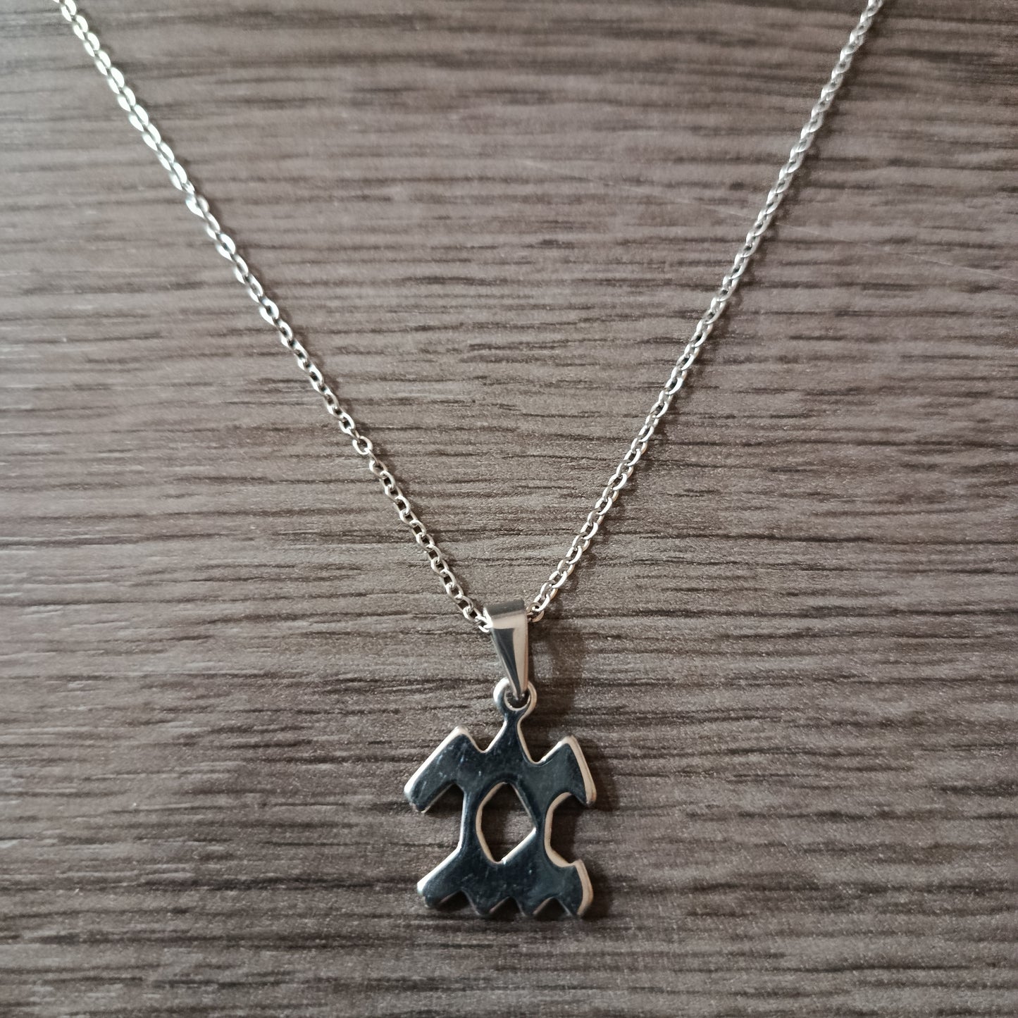 Collar acero Acuario