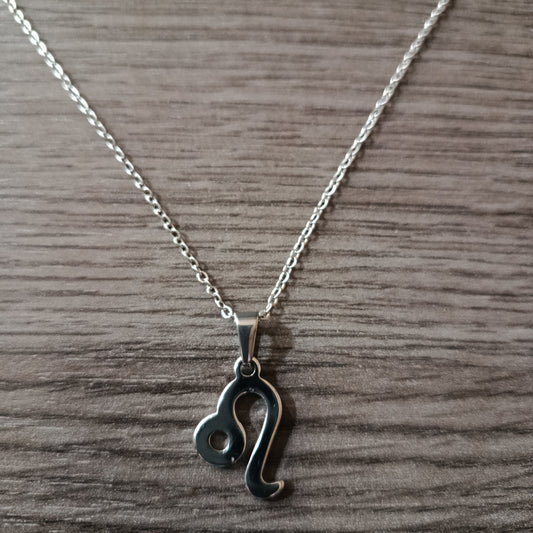 Collar acero Leo