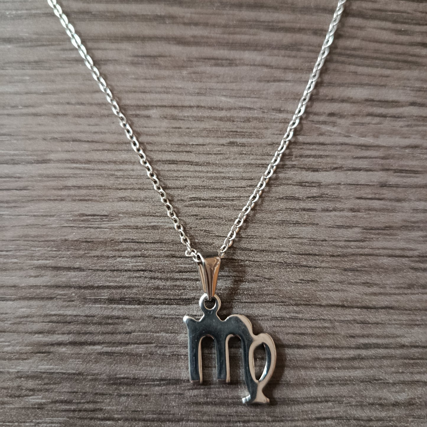 Collar acero Virgo