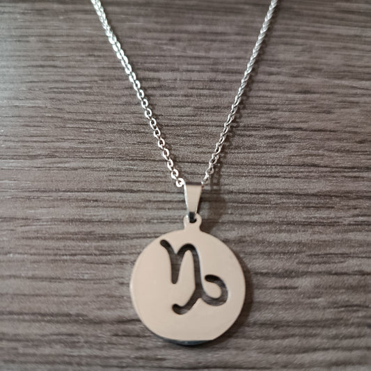 Collar acero medalla Capricornio