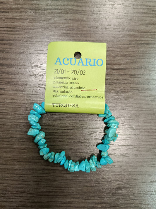 Pulsera chips Acuario